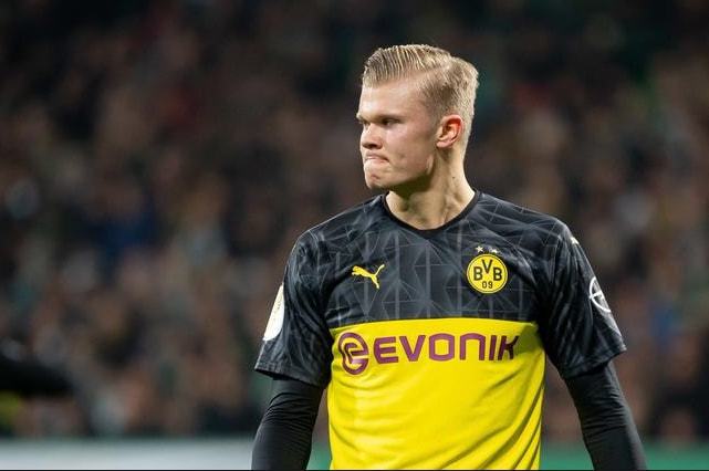 不再是毫无 不再是毫无