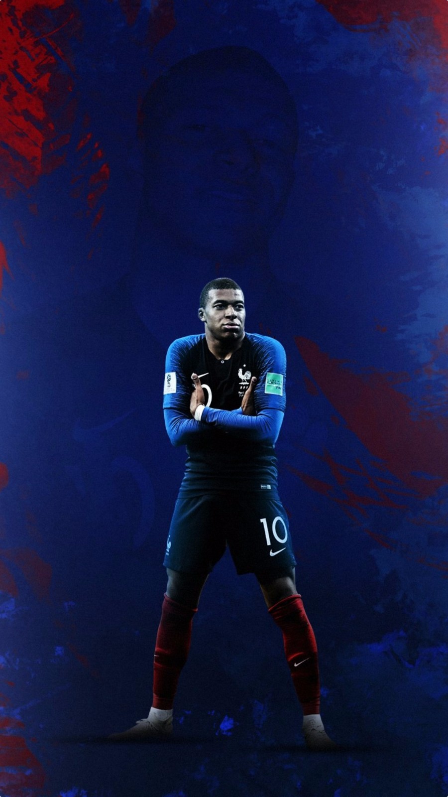 此次被送往 此次被送往